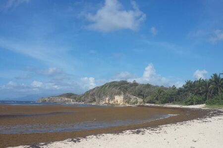 Anse%20%c3%a0%20saint%20petit%20havre%20gosier